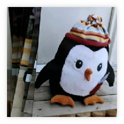 Video Penguin